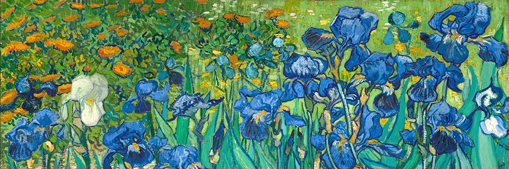 Art Print: Irises (detail)