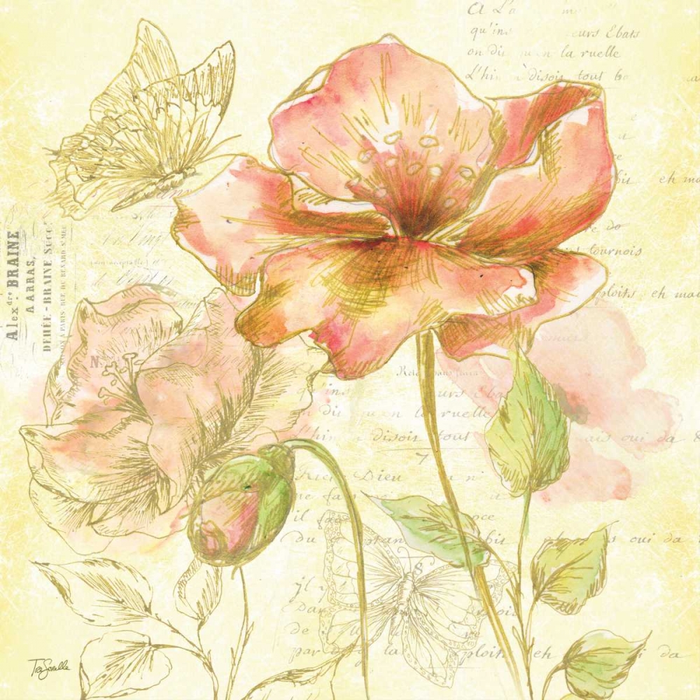 Wall Art Painting id:85264, Name: Watercolor Flower Sketch Blush II, Artist: Tre Sorelle Studios