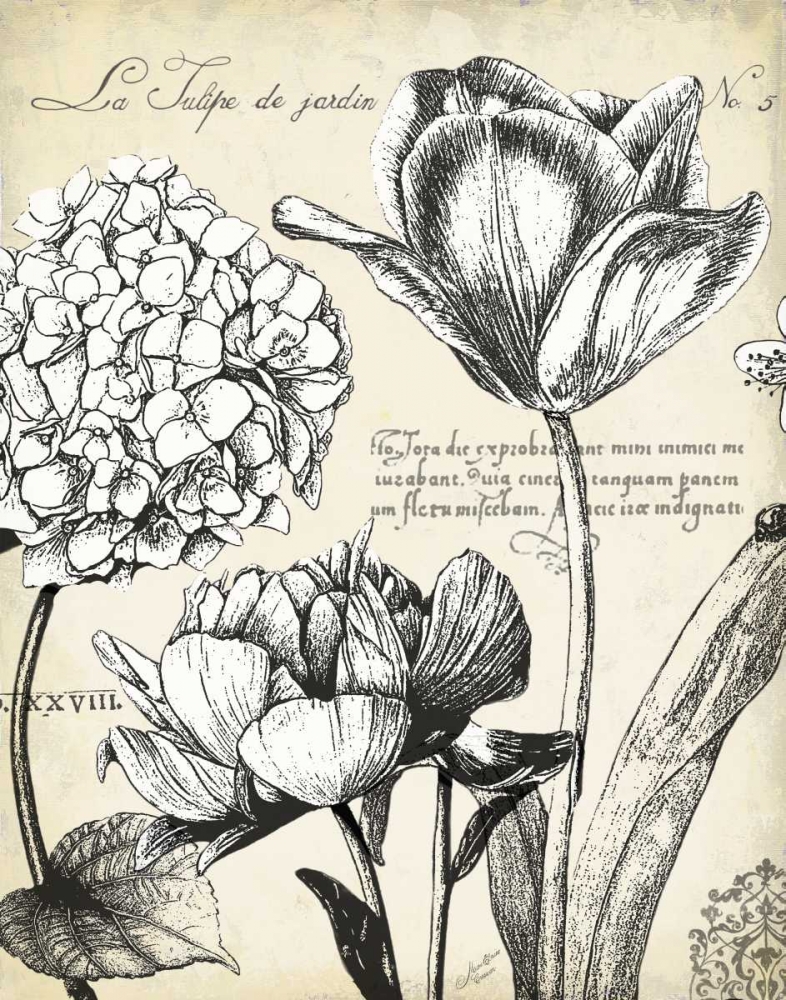 Wall Art Painting id:143049, Name: Pen and Ink Floral Study IV , Artist: Cusson, Marie-Elaine