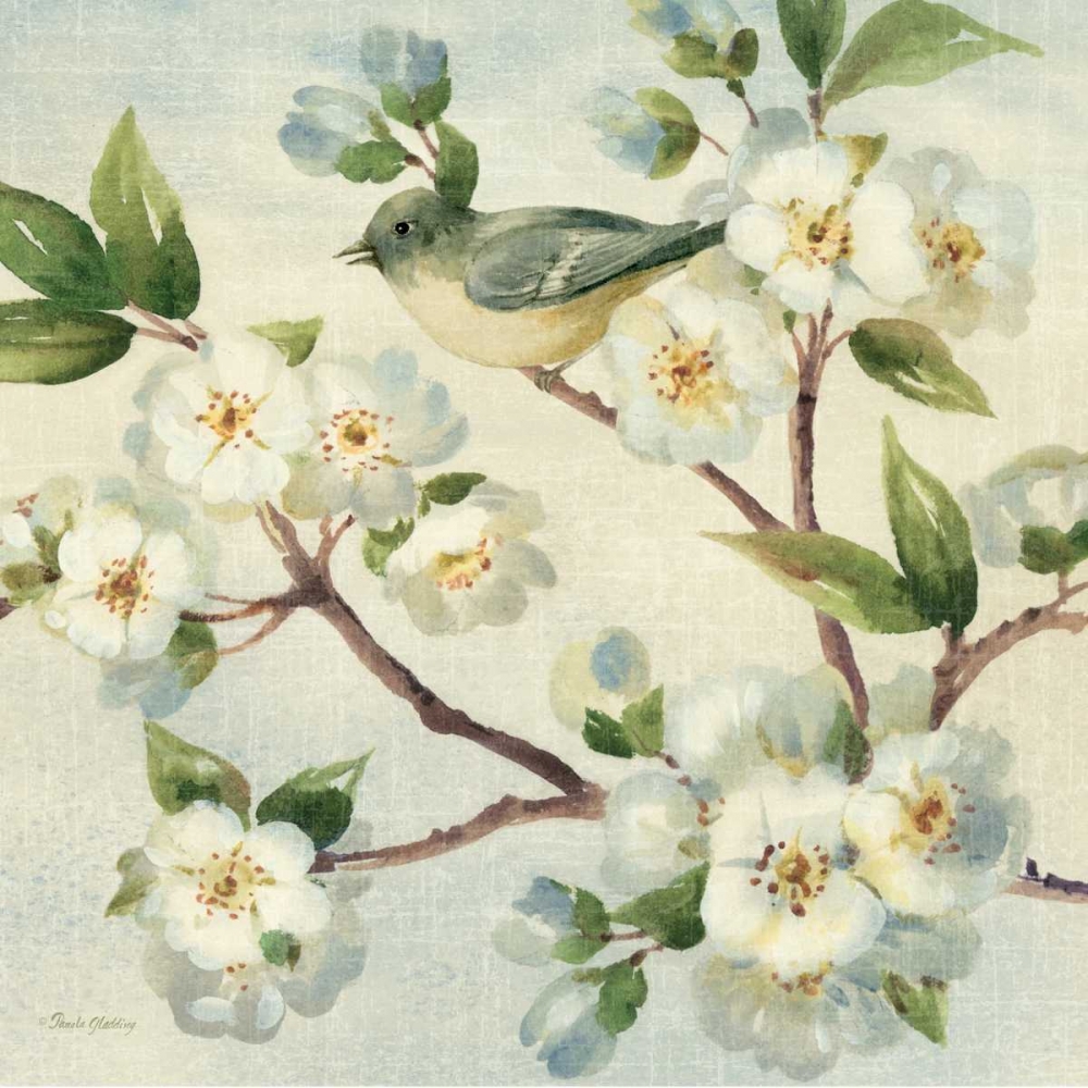 Wall Art Painting id:143081, Name: Cherry Bloom Bird I, Artist: Gladding, Pamela
