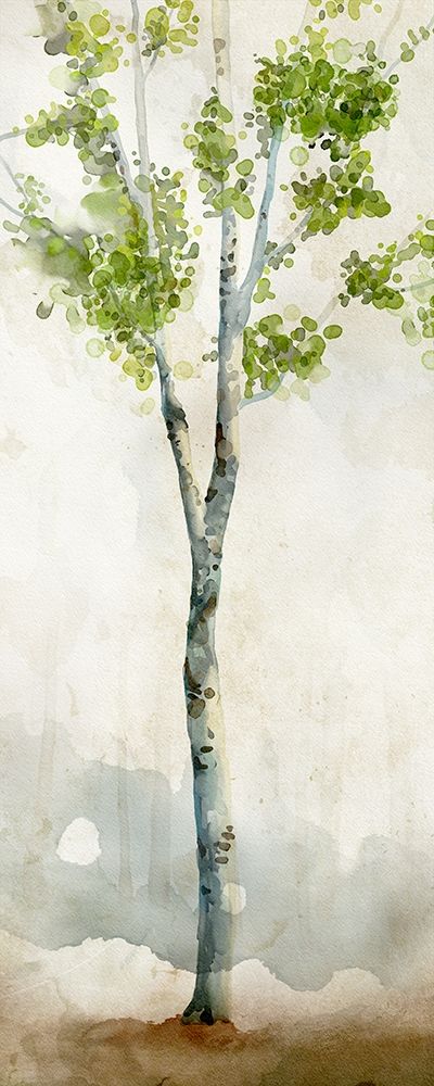 Wall Art Painting id:189754, Name: Watercolor Birch Trees I , Artist: Milan, Vittorio
