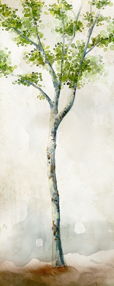Wall Art Painting id:189755, Name: Watercolor Birch Trees II, Artist: Milan, Vittorio
