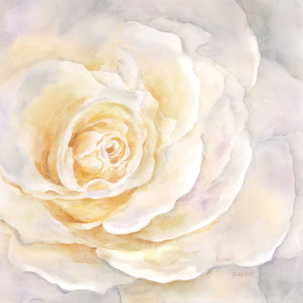 Wall Art Painting id:189785, Name: Watercolor Rose Closeup II, Artist: Coulter, Cynthia