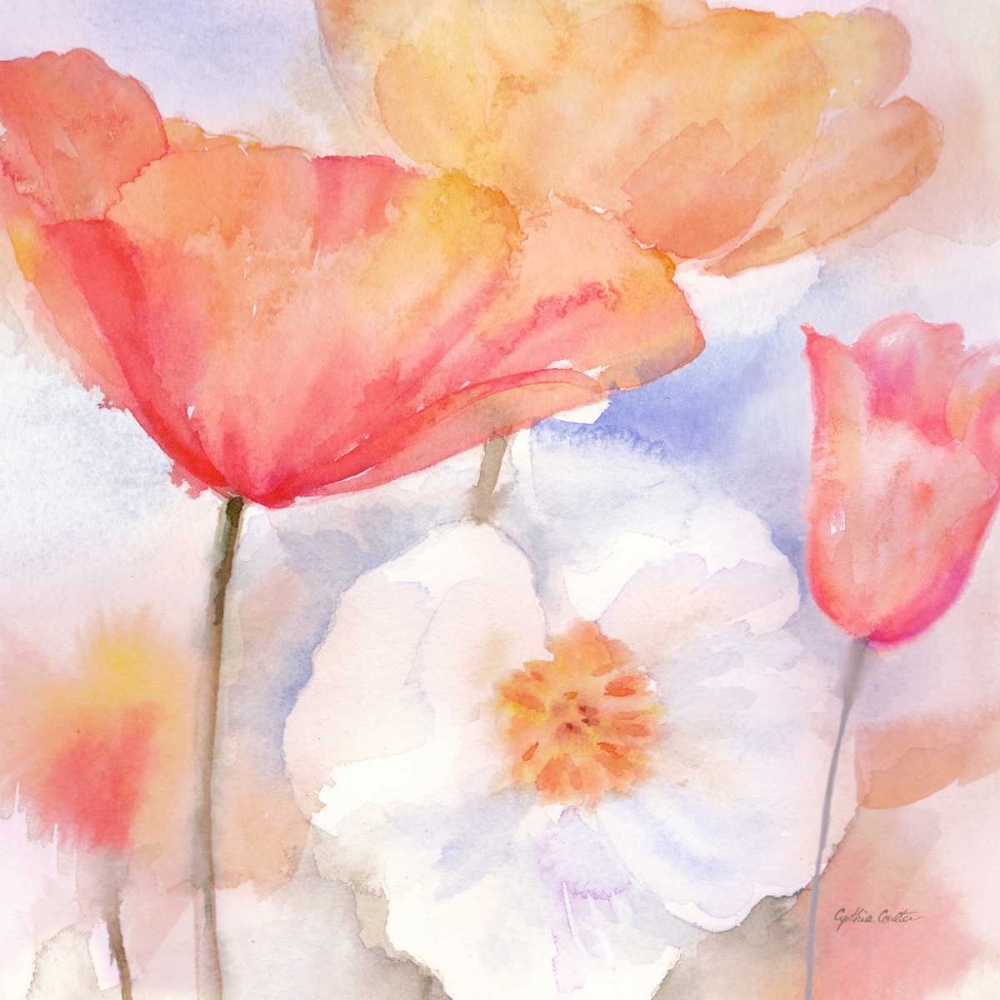 Wall Art Painting id:171716, Name: Watercolor Poppy Meadow Pastel I, Artist: Coulter, Cynthia