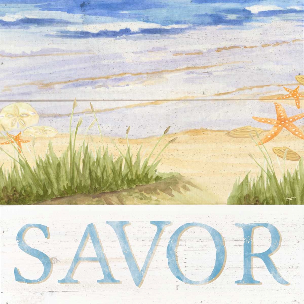 Wall Art Painting id:171831, Name: Savor the Sea III, Artist: Reed, Tara