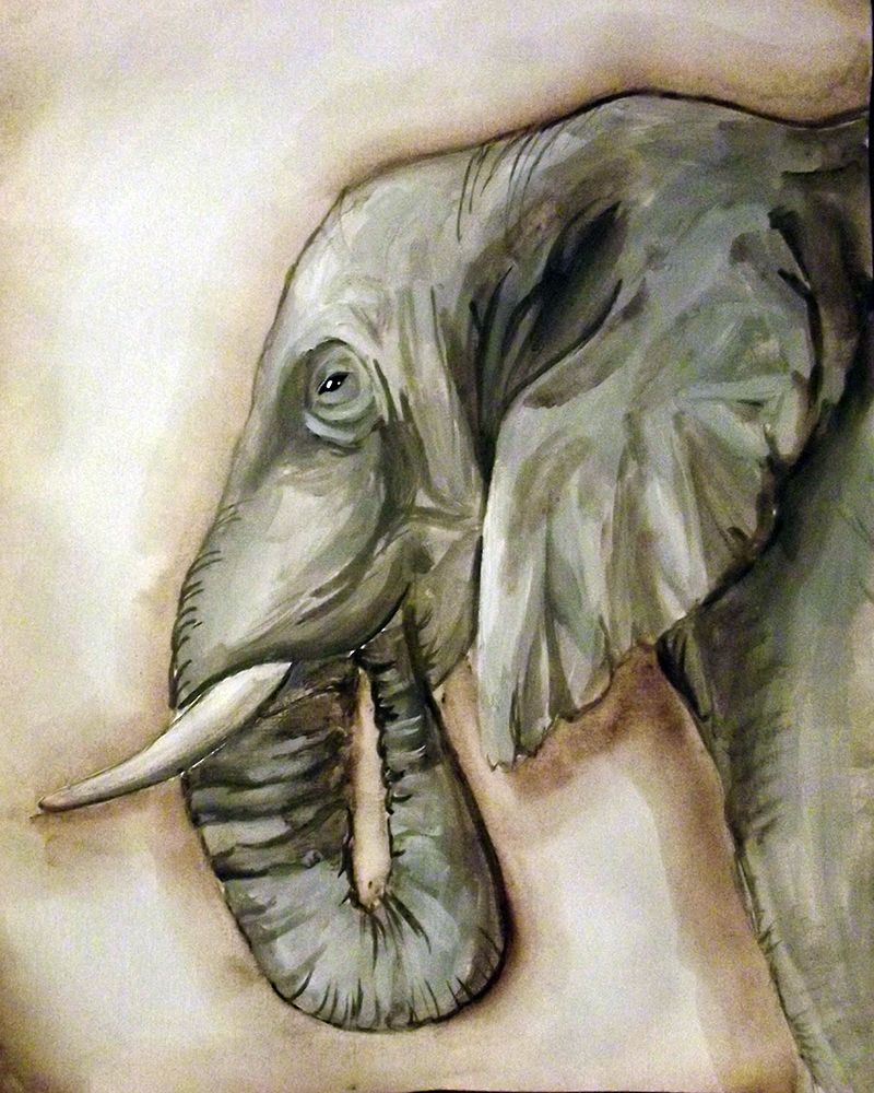 Wall Art Painting id:194393, Name: Elephant Portrait, Artist: Tre Sorelle Studios