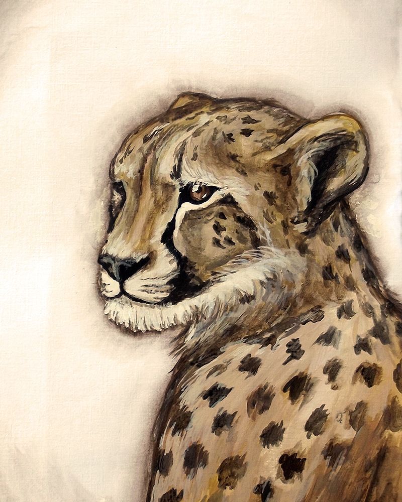 Wall Art Painting id:194396, Name: Cheetah Portrait, Artist: Tre Sorelle Studios