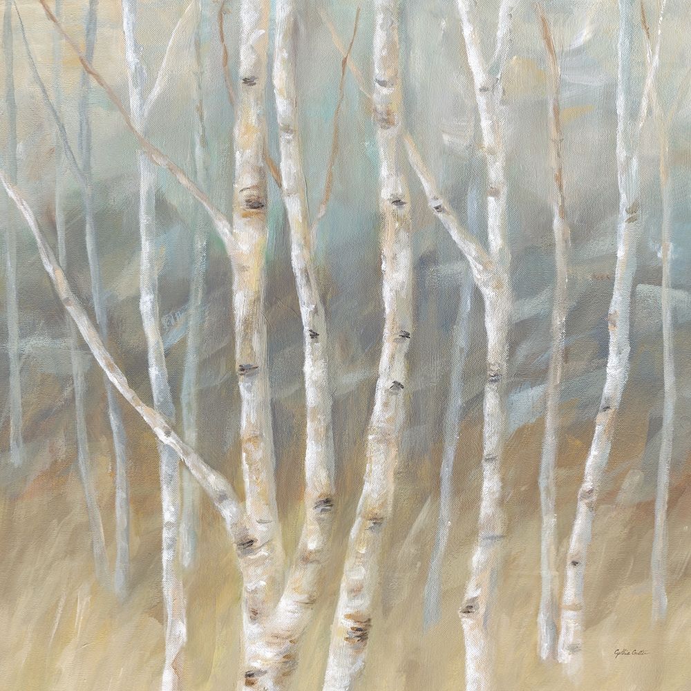 Wall Art Painting id:194415, Name: Silver Birch Square, Artist: Coulter, Cynthia