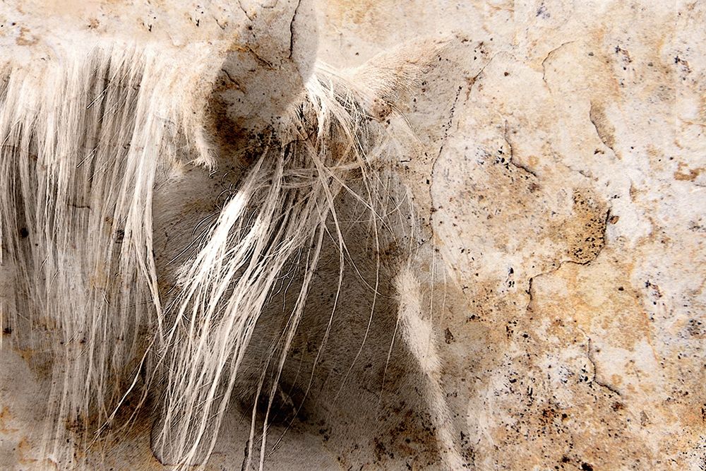 Similar wall art painting: 194465