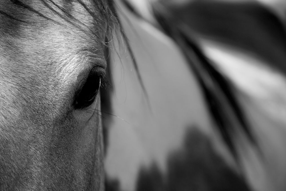 Similar wall art painting: 194466