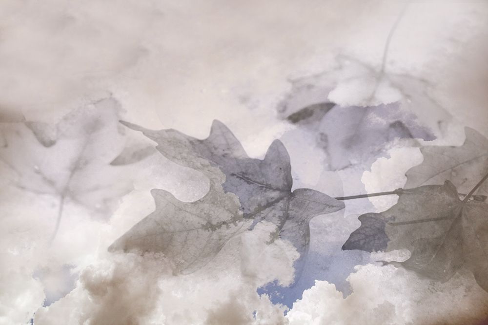 Similar wall art painting: 194471