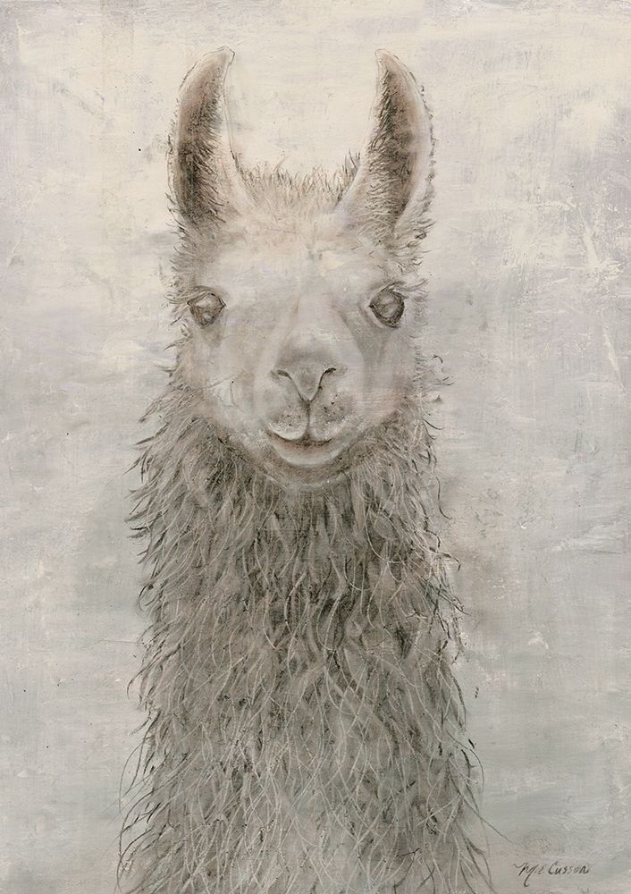Wall Art Painting id:212396, Name: Llama Portrait, Artist: Cusson, Marie-Elaine