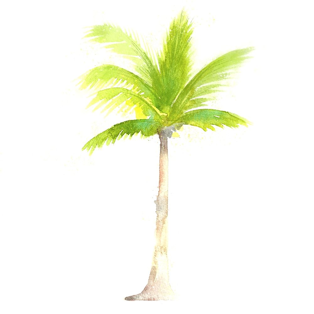 Wall Art Painting id:212441, Name: Tropical Icons Palm Tree, Artist: Northern Lights