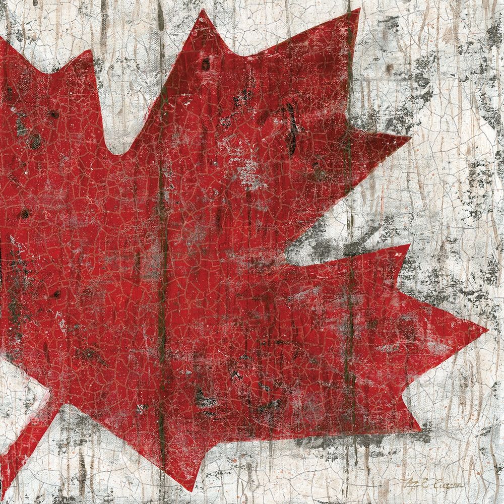 Wall Art Painting id:226180, Name: Canada Maple Leaf II, Artist: Cusson, Marie-Elaine