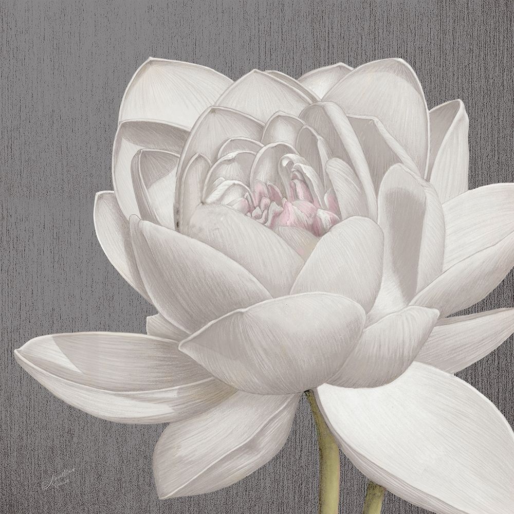 Wall Art Painting id:270471, Name: Vintage Lotus on Grey II, Artist: Cusson, Marie-Elaine