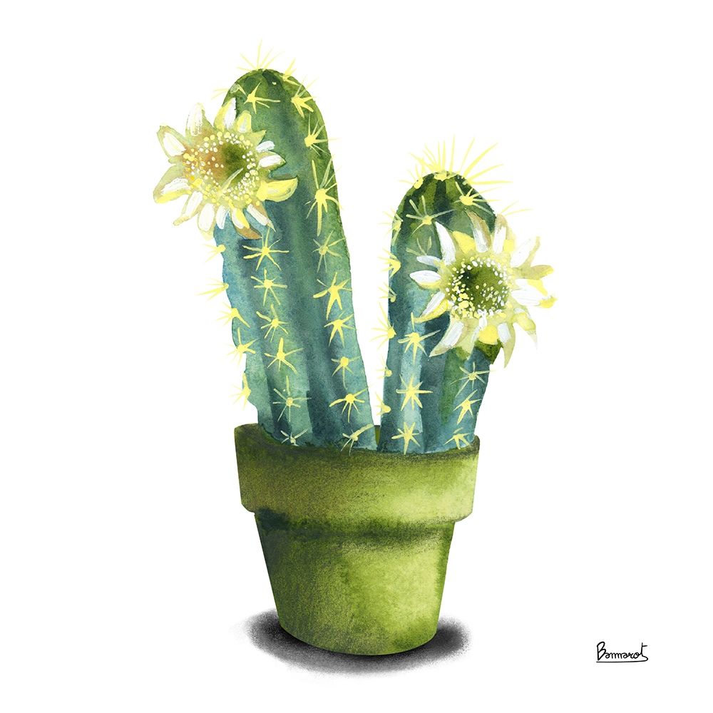 Wall Art Painting id:270546, Name: Cactus Flowers II, Artist: Bannarot