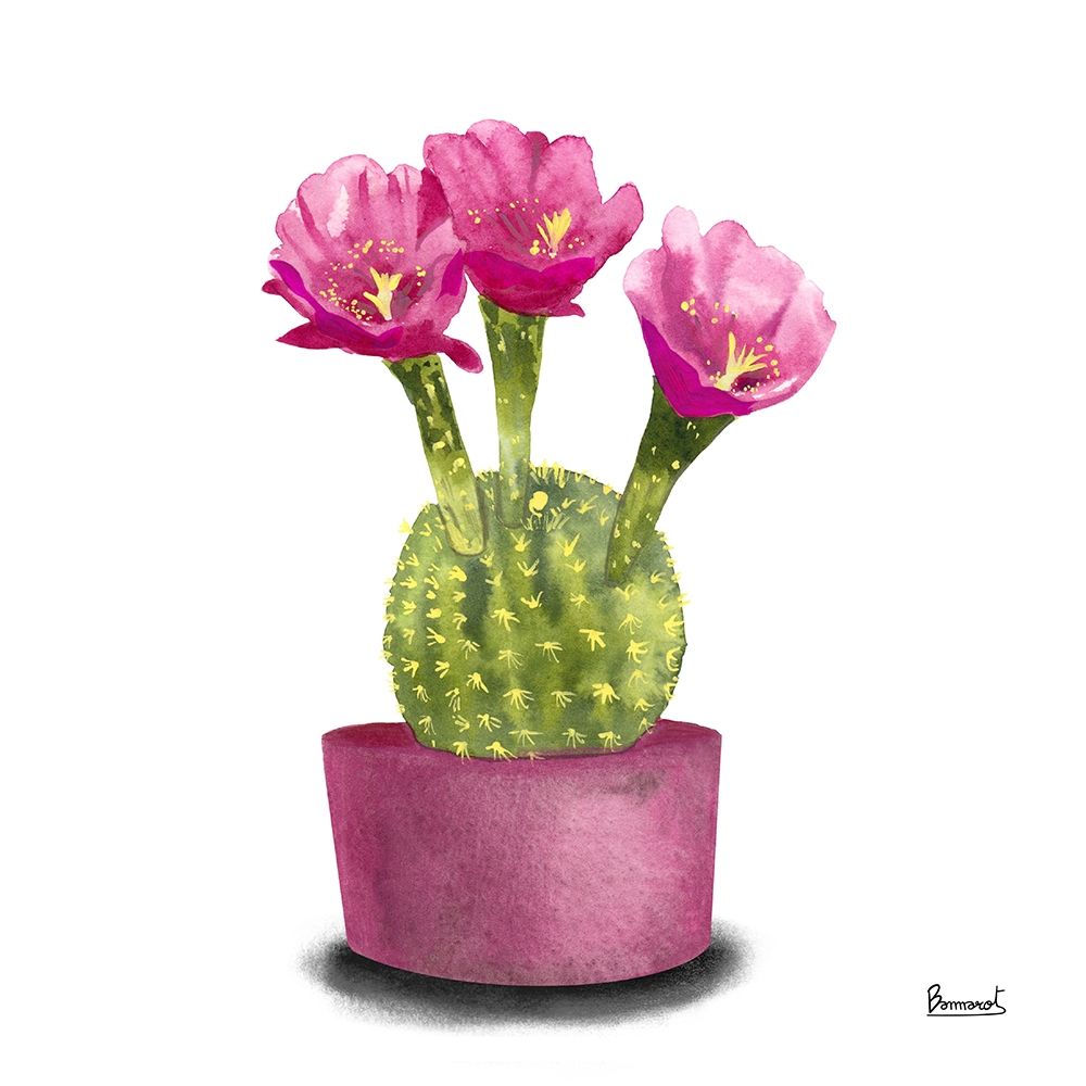 Wall Art Painting id:270549, Name: Cactus Flowers V, Artist: Bannarot