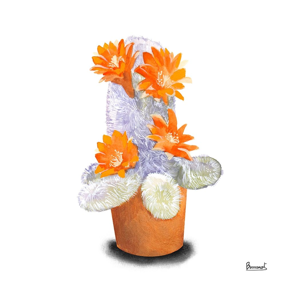 Wall Art Painting id:270550, Name: Cactus Flowers VI, Artist: Bannarot