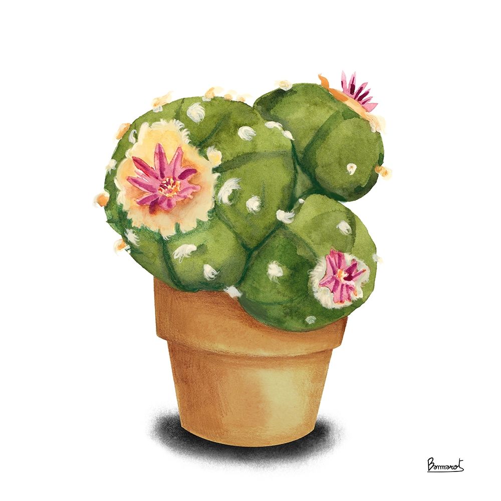 Wall Art Painting id:270551, Name: Cactus Flowers VII, Artist: Bannarot