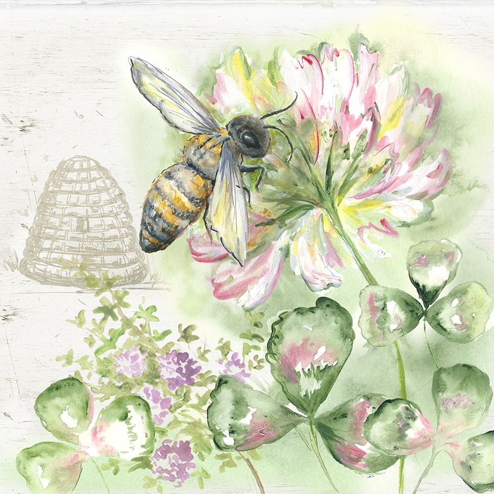 Wall Art Painting id:299171, Name: Honey Bee II, Artist: Tre Sorelle Studios
