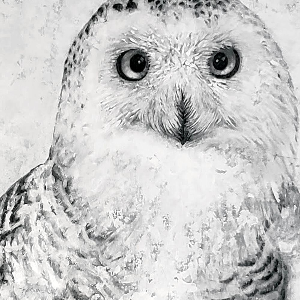 Wall Art Painting id:325741, Name: Portrait of a Snowy Owl, Artist: Cusson, Marie-Elaine