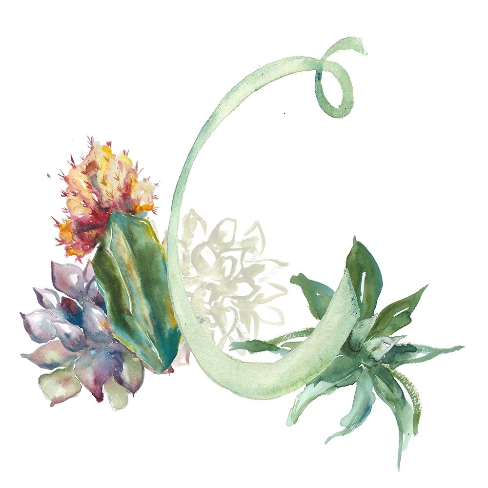 Wall Art Painting id:352393, Name: Watercolor Succulent Monogram C, Artist: Tre Sorelle Studios