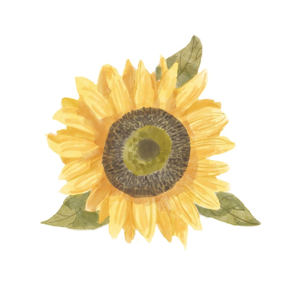 Wall Art Painting id:380395, Name: Single  Sunflower I, Artist: Bannarot