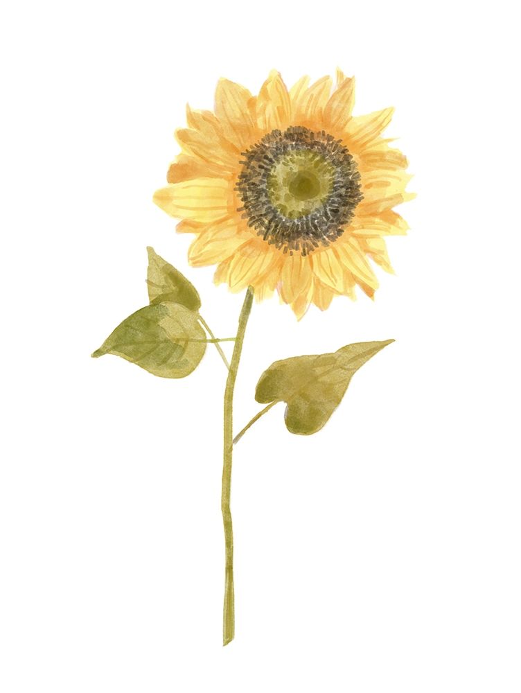 Wall Art Painting id:380397, Name: Single  Sunflower portrait I, Artist: Bannarot