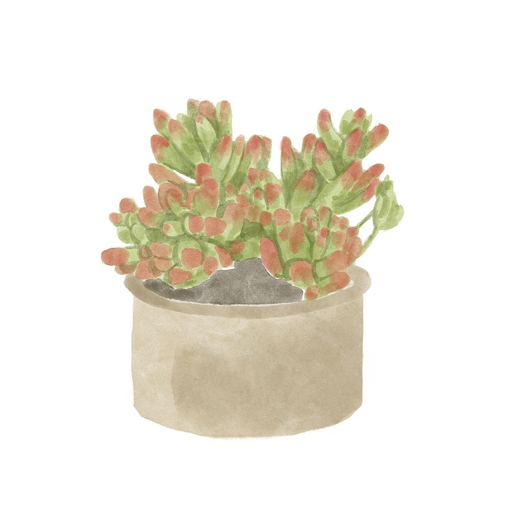 Wall Art Painting id:394751, Name: Simple Succulent I, Artist: Bannarot