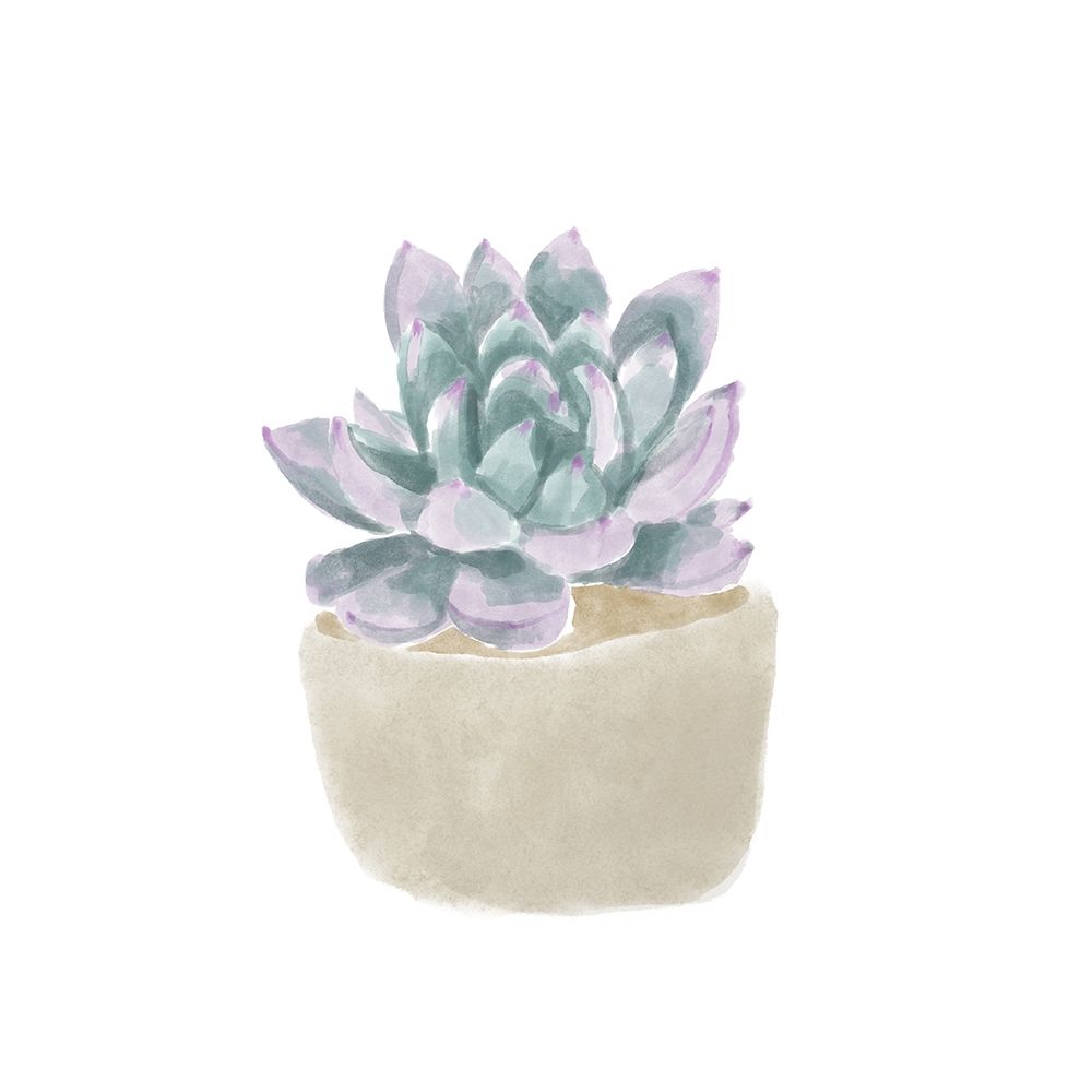 Wall Art Painting id:394754, Name: Simple Succulent IV, Artist: Bannarot