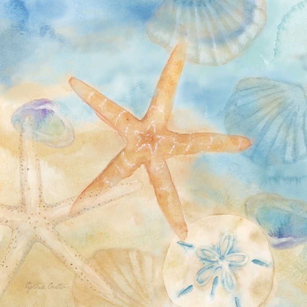 Wall Art Painting id:64772, Name: Watercolor Shells IV, Artist: Coulter, Cynthia