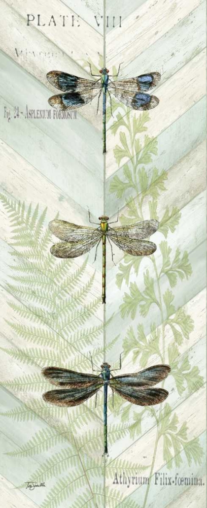 Wall Art Painting id:59510, Name: Dragonfly Botanical Panels II, Artist: Tre Sorelle Studios