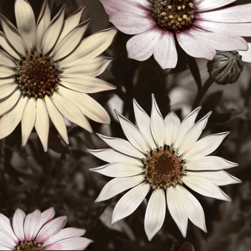 Similar wall art painting: 59541