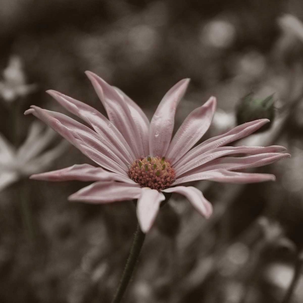 Similar wall art painting: 59543