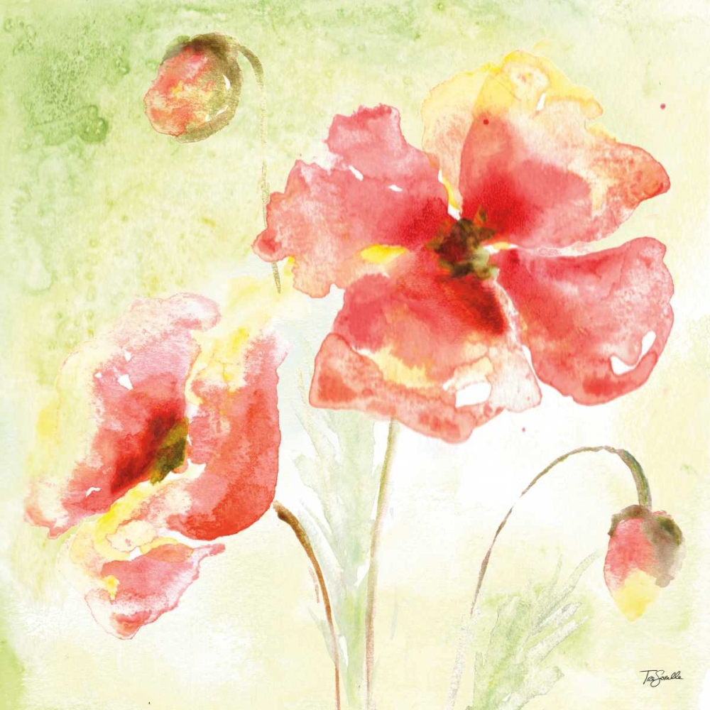 Wall Art Painting id:70145, Name: Pale Pink Poppies I, Artist: Tre Sorelle Studios