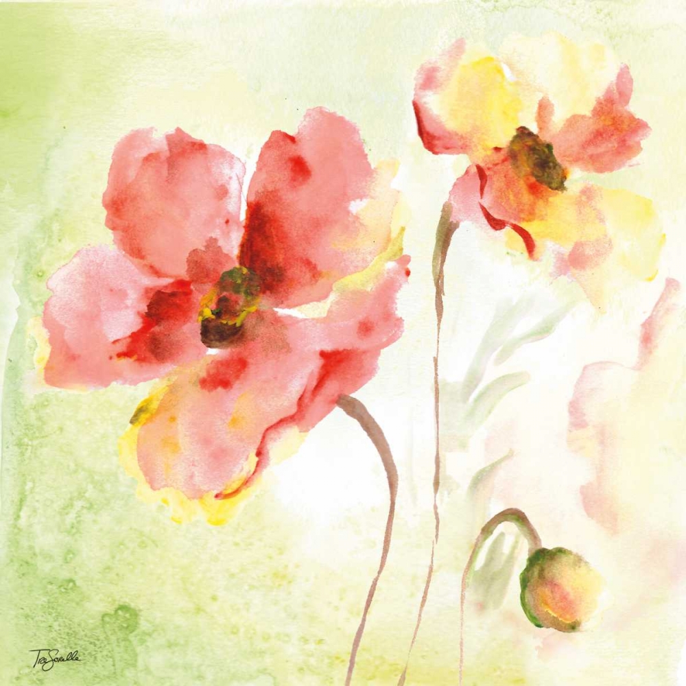 Wall Art Painting id:70146, Name: Pale Pink Poppies II, Artist: Tre Sorelle Studios