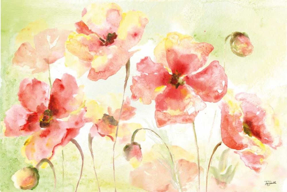 Wall Art Painting id:70147, Name: Pale Pink Poppies Landscape, Artist: Tre Sorelle Studios
