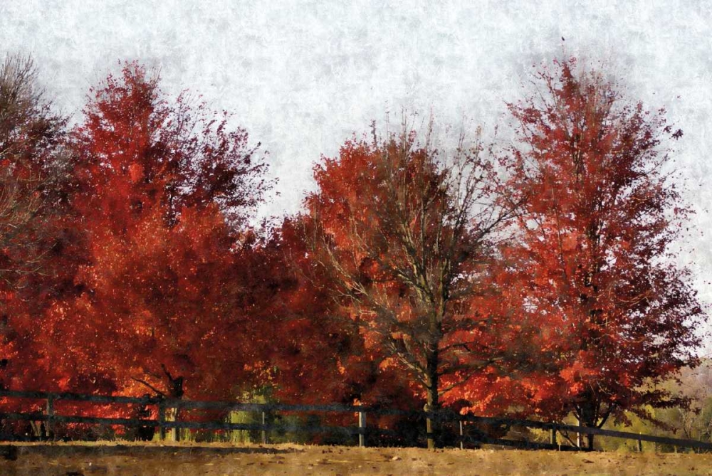 Art Print: Fall Reds