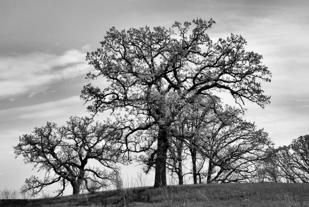 Similar wall art painting: 70211