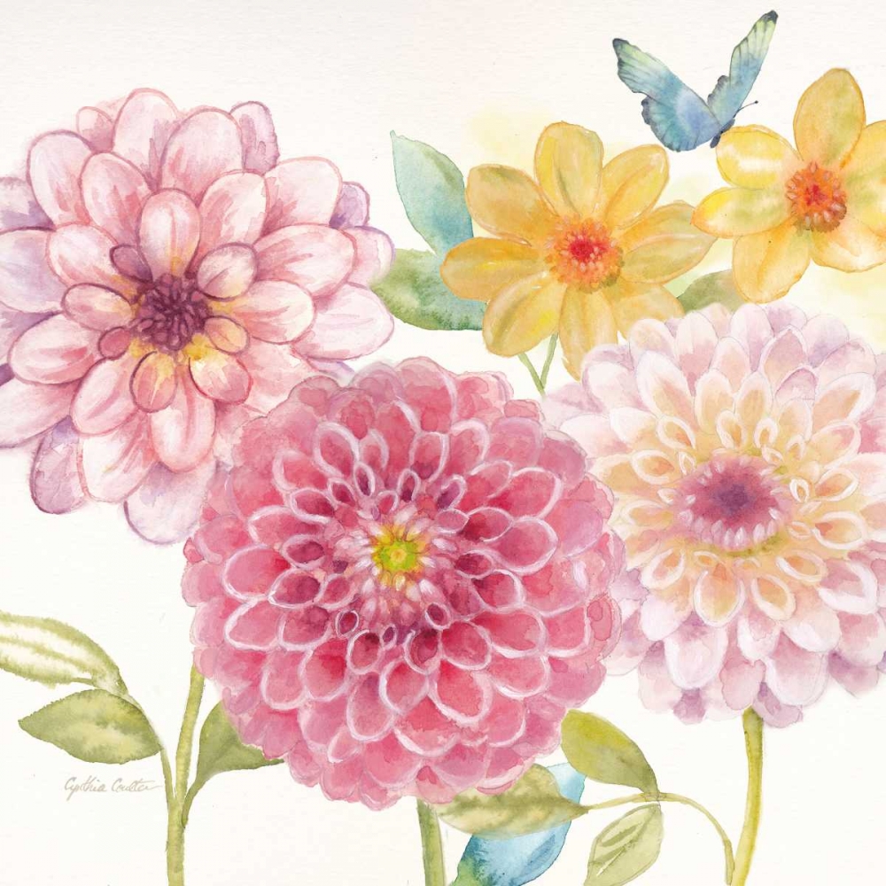 Wall Art Painting id:78073, Name: Dahlia Garden I, Artist: Coulter, Cynthia