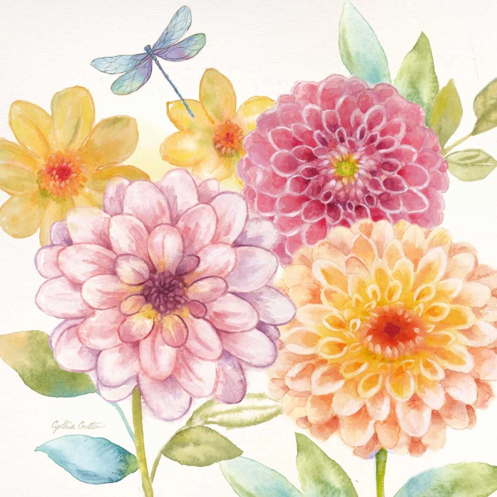 Wall Art Painting id:78074, Name: Dahlia Garden II, Artist: Coulter, Cynthia