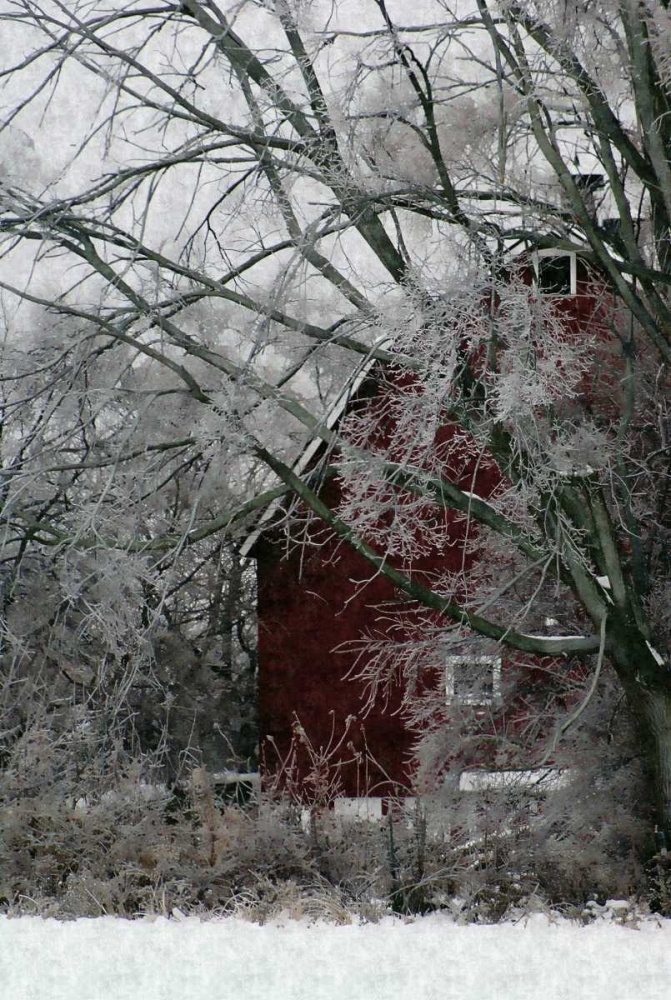 Art Print: Sheltered