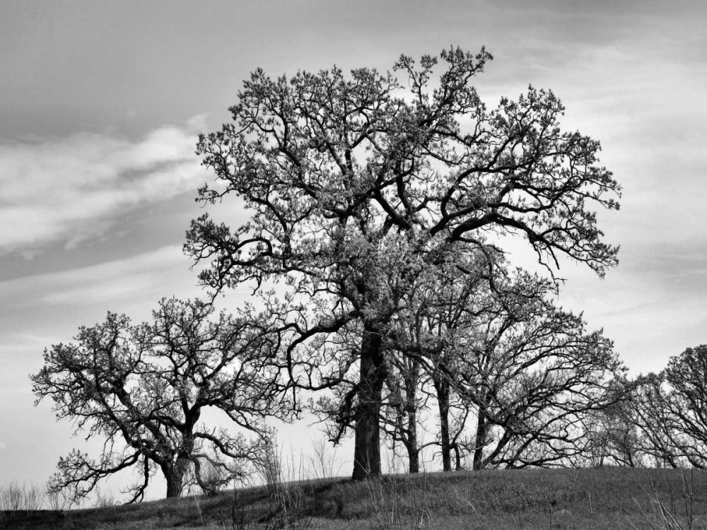 Similar wall art painting: 105949