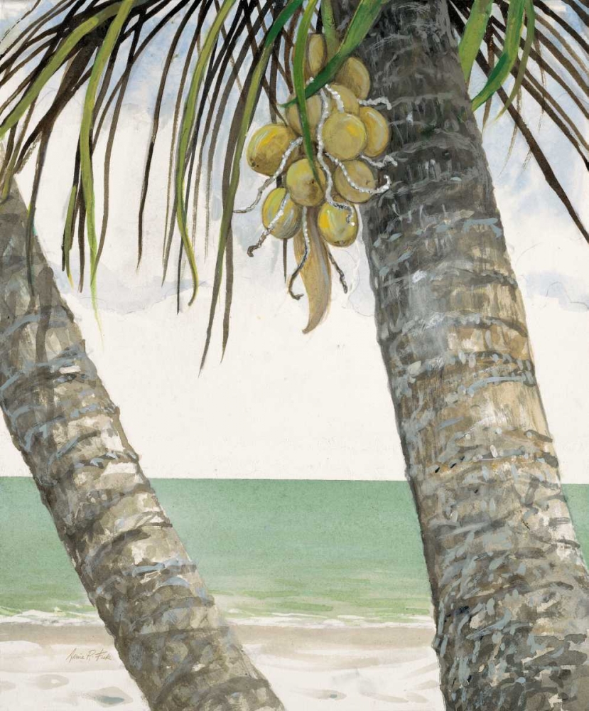 Wall Art Painting id:56436, Name: Seaside Coconuts, Artist: FISK, Arnie