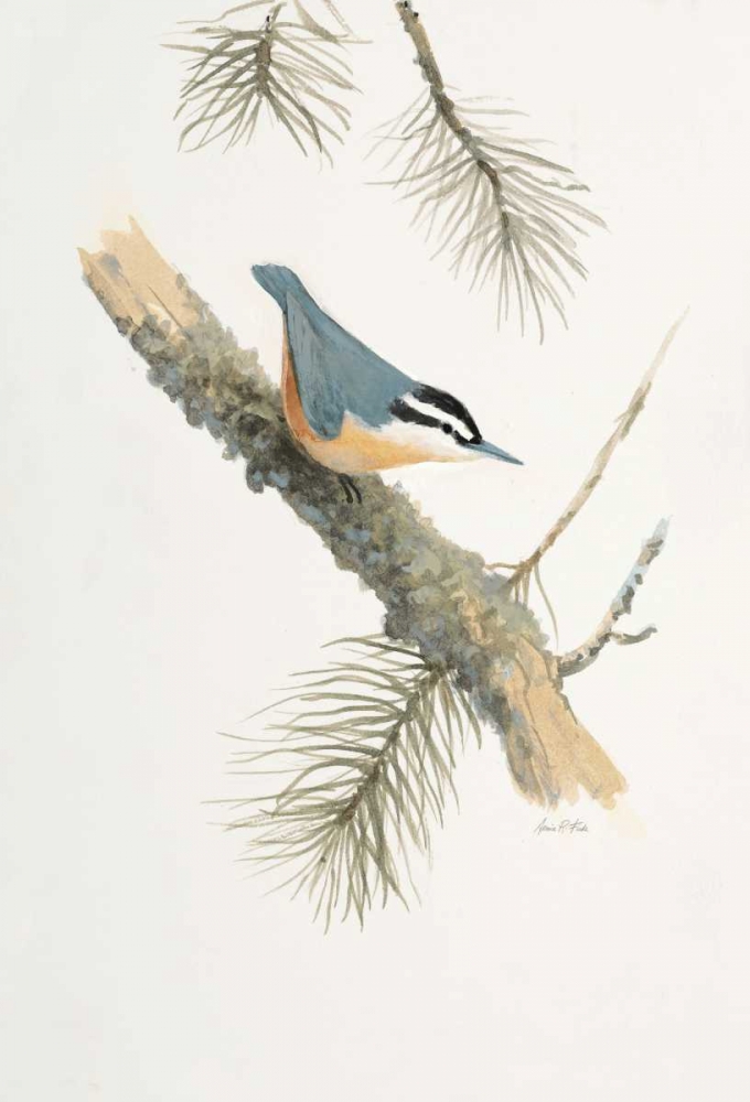 Art Print: Bird in Grey