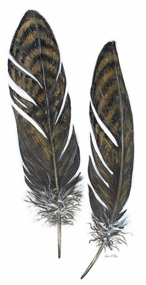 Wall Art Painting id:142056, Name: Feather Study 1, Artist: Fisk, Arnie