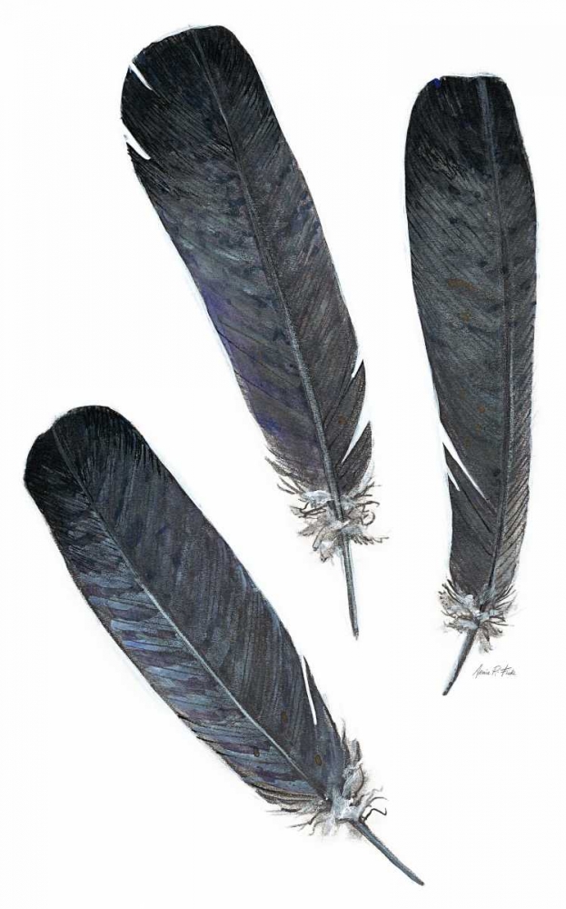 Art Print: Feather Study 2