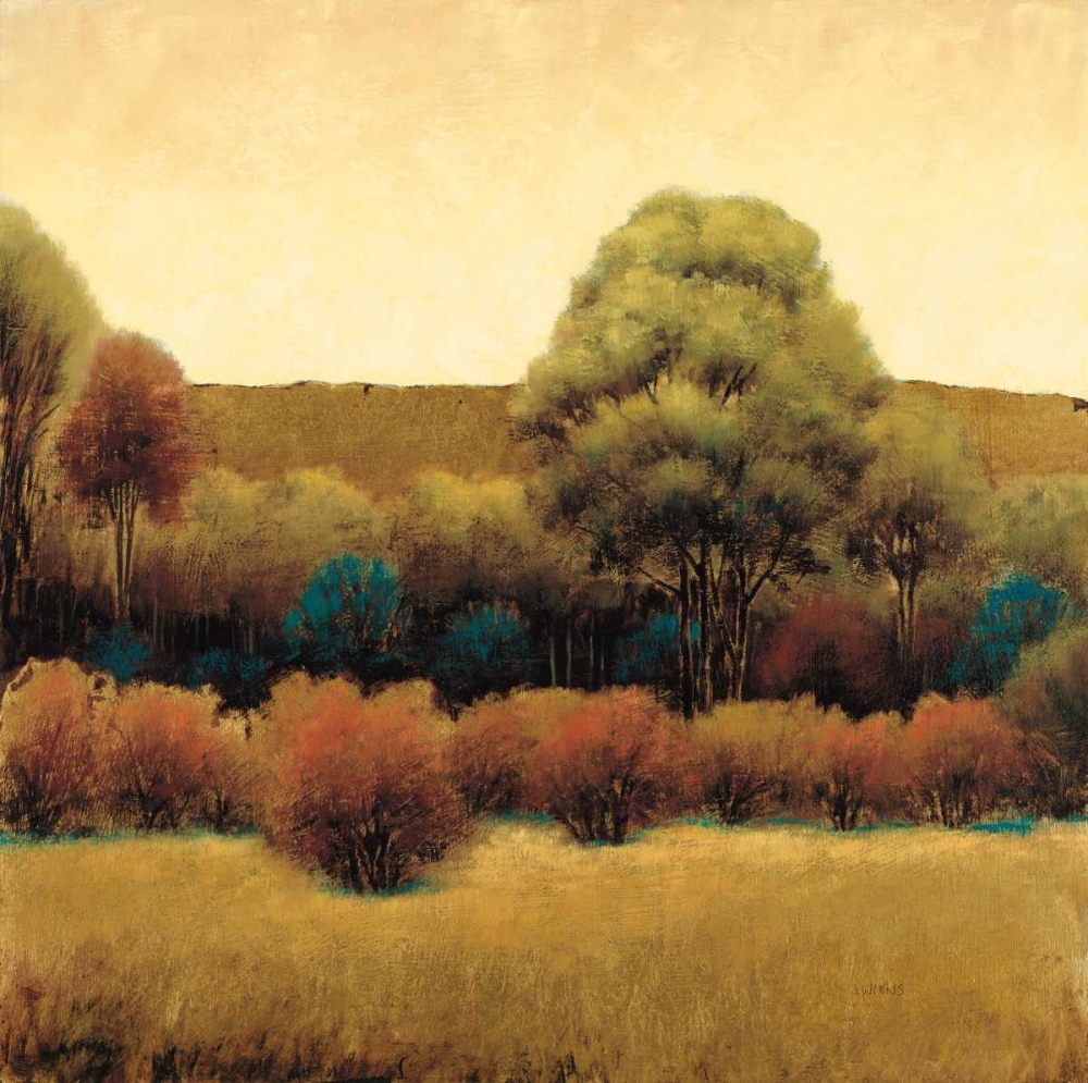 Wall Art Painting id:84852, Name: Amber Horizon 2, Artist: Wiens, James