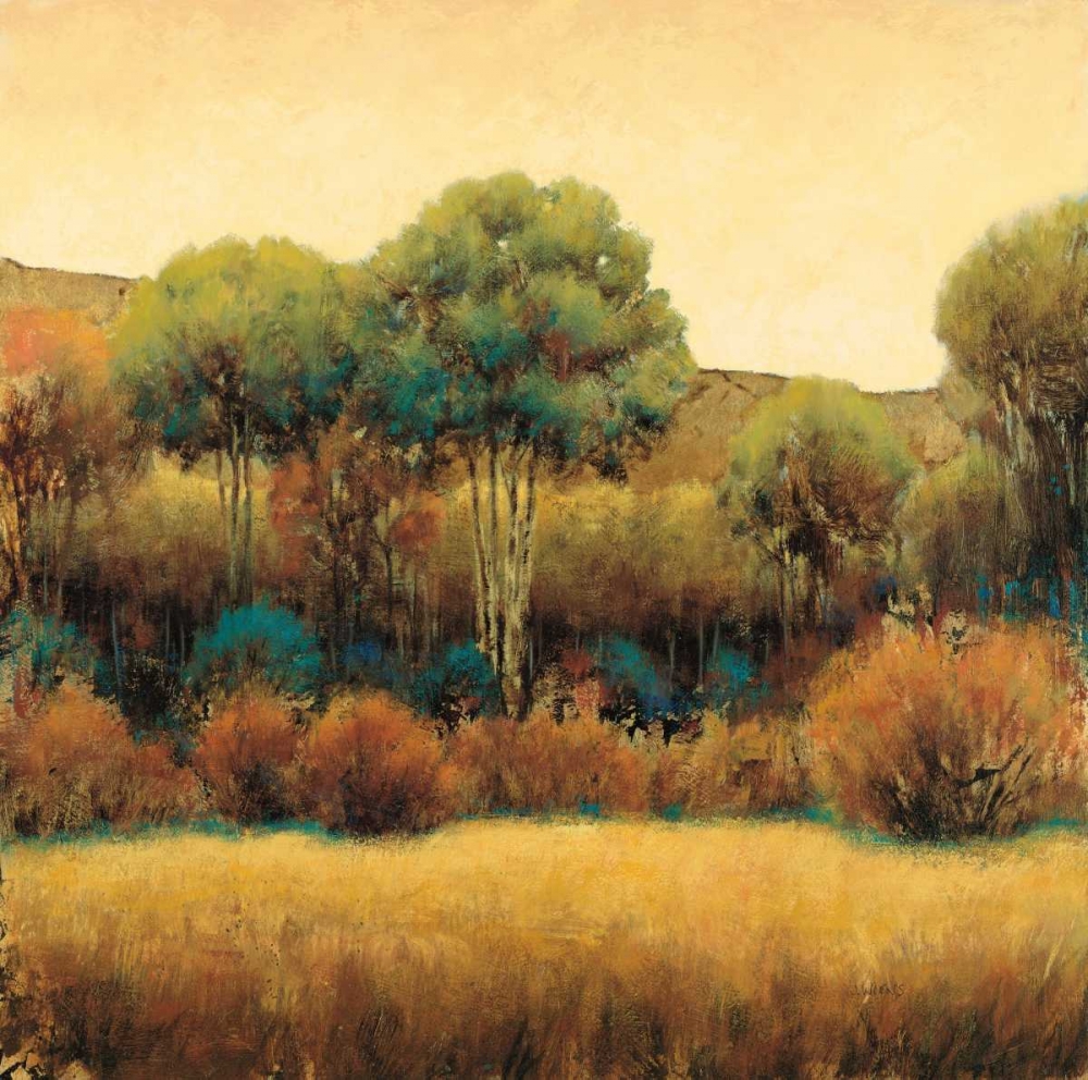 Wall Art Painting id:84853, Name: Amber Horizon 1, Artist: Wiens, James