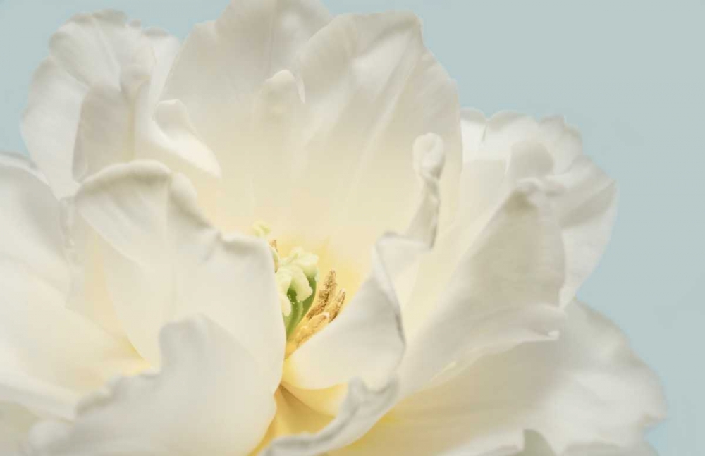 Wall Art Painting id:105584, Name: Now Serene, Artist: Greenwood, Julie